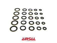 Range of sealing rings rubber/brass 25 pieces