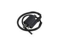 Ignition HPI coil (also 2-Ten)