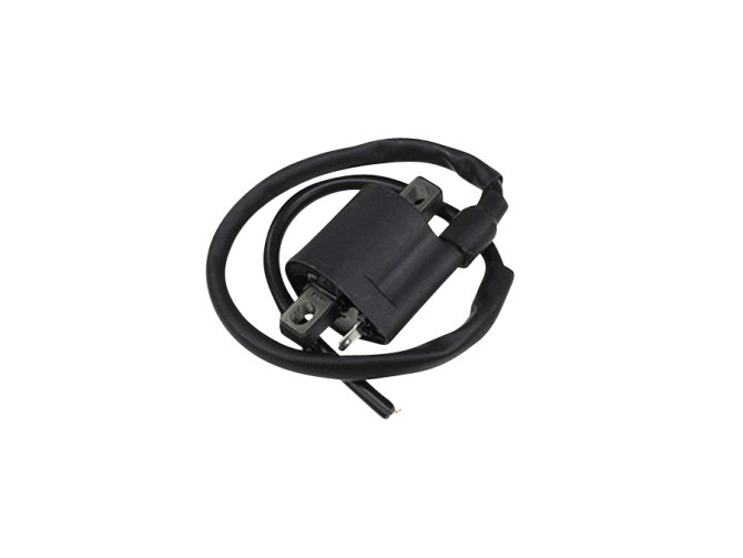 Ignition HPI coil (also 2-Ten) main
