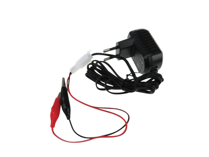 12 volt universal charger photo