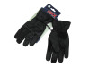 Handschoen Pro Race Zwart thumb extra